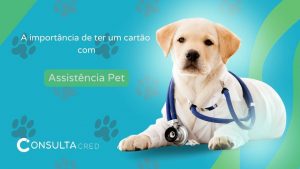 A importância de ter um cartão com assistência PET na carteira
