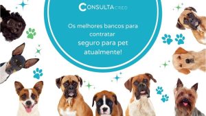Os melhores bancos para contratar seguro para pet atualmente!