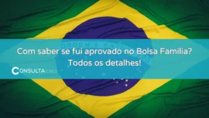 Como saber se fui aprovado no Bolsa Família? Todos os detalhes!