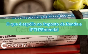 o que é espólio no imposto de renda