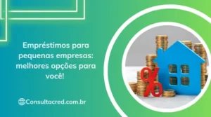 Empréstimos para pequenas empresas: melhores opções para você! 