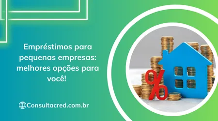 Empréstimos para pequenas empresas: melhores opções para você! 