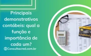 Principais demonstrativos contábeis qual a função e importância de cada um