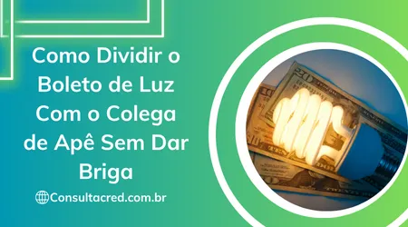 Como Dividir o Boleto de Luz Com o Colega de Apê Sem Dar Briga