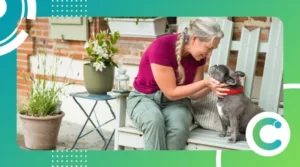 Ideias de dinheiro extra rentáveis para quem ama pets